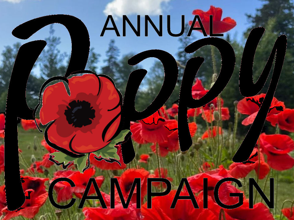 Poppy Campaign 2026